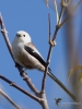 Filename=261_fotowilga~47.JPG
Filesize=259KB
Dimensions=525x700
Date added=Oct 10, 2019 261_fotowilga~47.JPG