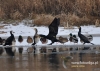 Filename=263_fotowilga~24.JPG
Filesize=130KB
Dimensions=640x457
Date added=Feb 19, 2016 263_fotowilga~24.JPG
