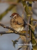 Filename=264_fotowilga~30.JPG
Filesize=56KB
Dimensions=360x480
Date added=Mar 04, 2017 264_fotowilga~30.JPG