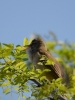 Filename=267_fotowilga~39.JPG
Filesize=245KB
Dimensions=525x700
Date added=Jun 09, 2019 267_fotowilga~39.JPG