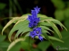 Filename=267_fotowilga~43.JPG
Filesize=265KB
Dimensions=700x525
Date added=Dec 22, 2019 267_fotowilga~43.JPG