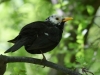 Filename=268_fotowilga~43.JPG
Filesize=234KB
Dimensions=700x525
Date added=Mar 05, 2019 268_fotowilga~43.JPG