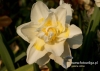 Filename=269_fotowilga~25.JPG
Filesize=83KB
Dimensions=640x457
Date added=Mar 15, 2017 269_fotowilga~25.JPG