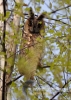 Filename=270_fotowilga~42.JPG
Filesize=96KB
Dimensions=343x480
Date added=Oct 28, 2017 270_fotowilga~42.JPG