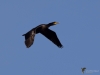 Filename=271_fotowilga~41.JPG
Filesize=160KB
Dimensions=700x525
Date added=Jan 06, 2019 271_fotowilga~41.JPG