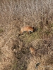 Filename=271_fotowilga~50.JPG
Filesize=489KB
Dimensions=525x700
Date added=May 28, 2020 271_fotowilga~50.JPG