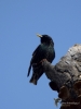 Filename=272_fotowilga~42.JPG
Filesize=210KB
Dimensions=525x700
Date added=Jun 30, 2019 272_fotowilga~42.JPG