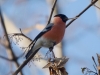 Filename=273_fotowilga~23.JPG
Filesize=235KB
Dimensions=700x525
Date added=Oct 19, 2018 273_fotowilga~23.JPG