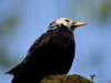 274_fotowilga~43.JPG