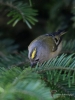 Filename=274_fotowilga~45.JPG
Filesize=244KB
Dimensions=525x700
Date added=Mar 16, 2019 274_fotowilga~45.JPG