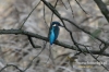 Filename=279_fotowilga~16.JPG
Filesize=96KB
Dimensions=640x427
Date added=Mar 01, 2016 279_fotowilga~16.JPG