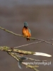 280_fotowilga~27.JPG