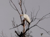 Filename=282_fotowilga~27.JPG
Filesize=223KB
Dimensions=700x525
Date added=Dec 11, 2018 282_fotowilga~27.JPG