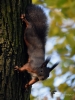Filename=282_fotowilga~33.JPG
Filesize=268KB
Dimensions=525x700
Date added=Mar 14, 2018 282_fotowilga~33.JPG