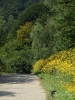 Filename=283_fotowilga~43.JPG
Filesize=441KB
Dimensions=525x700
Date added=Dec 25, 2019 283_fotowilga~43.JPG