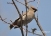 Filename=284_fotowilga~4.JPG
Filesize=87KB
Dimensions=640x457
Date added=Oct 10, 2014 284_fotowilga~4.JPG