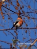 Filename=285_fotowilga~36.JPG
Filesize=72KB
Dimensions=360x480
Date added=Dec 03, 2017 285_fotowilga~36.JPG