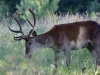 Filename=285_fotowilga~38.JPG
Filesize=307KB
Dimensions=700x525
Date added=Sep 03, 2018 285_fotowilga~38.JPG