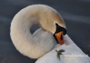 Filename=286_fotowilga~15.JPG
Filesize=80KB
Dimensions=640x448
Date added=May 11, 2015 286_fotowilga~15.JPG