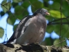 Filename=287_fotowilga~48.JPG
Filesize=243KB
Dimensions=700x525
Date added=Nov 08, 2018 287_fotowilga~48.JPG