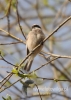 Filename=288_fotowilga~20.JPG
Filesize=75KB
Dimensions=343x480
Date added=Nov 13, 2015 288_fotowilga~20.JPG