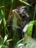 Filename=288_fotowilga~43.JPG
Filesize=239KB
Dimensions=525x700
Date added=Apr 28, 2019 288_fotowilga~43.JPG