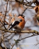 Filename=289_fotowilga~24.JPG
Filesize=67KB
Dimensions=384x480
Date added=Nov 13, 2016 289_fotowilga~24.JPG