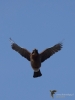 Filename=289_fotowilga~43.JPG
Filesize=206KB
Dimensions=525x700
Date added=Nov 19, 2019 289_fotowilga~43.JPG