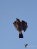 Filename=290_fotowilga~48.JPG
Filesize=186KB
Dimensions=525x700
Date added=Dec 18, 2019 290_fotowilga~48.JPG