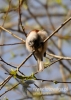 Filename=291_fotowilga~24.JPG
Filesize=77KB
Dimensions=343x480
Date added=Sep 24, 2015 291_fotowilga~24.JPG