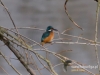 Filename=291_fotowilga~41.JPG
Filesize=76KB
Dimensions=640x480
Date added=Nov 02, 2017 291_fotowilga~41.JPG