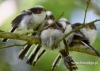Filename=295_fotowilga~30.JPG
Filesize=86KB
Dimensions=640x457
Date added=Feb 09, 2017 295_fotowilga~30.JPG
