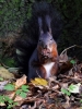 Filename=296_fotowilga~37.JPG
Filesize=316KB
Dimensions=525x700
Date added=Apr 24, 2018 296_fotowilga~37.JPG