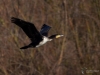 Filename=296_fotowilga~39.JPG
Filesize=215KB
Dimensions=700x525
Date added=Jan 08, 2019 296_fotowilga~39.JPG