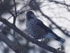Filename=297_fotowilga~41.JPG
Filesize=225KB
Dimensions=700x525
Date added=May 10, 2018 297_fotowilga~41.JPG