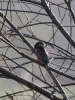 297_fotowilga~43.JPG