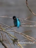 Filename=298_fotowilga~30.JPG
Filesize=67KB
Dimensions=360x480
Date added=Nov 03, 2017 298_fotowilga~30.JPG