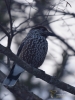 Filename=298_fotowilga~35.JPG
Filesize=221KB
Dimensions=525x700
Date added=Mar 07, 2019 298_fotowilga~35.JPG