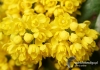 Filename=299_fotowilga~6.JPG
Filesize=119KB
Dimensions=720x508
Date added=May 18, 2014 299_fotowilga~6.JPG
