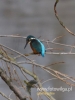 Filename=300_fotowilga~27.JPG
Filesize=53KB
Dimensions=360x480
Date added=Nov 04, 2017 300_fotowilga~27.JPG