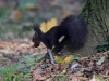Filename=300_fotowilga~30.JPG
Filesize=315KB
Dimensions=700x525
Date added=Dec 10, 2017 300_fotowilga~30.JPG