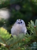 Filename=300_fotowilga~31.JPG
Filesize=249KB
Dimensions=525x700
Date added=Jan 19, 2018 300_fotowilga~31.JPG