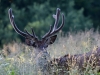 Filename=301_fotowilga~18.JPG
Filesize=302KB
Dimensions=700x525
Date added=Nov 14, 2018 301_fotowilga~18.JPG