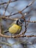 Filename=301_fotowilga~42.JPG
Filesize=244KB
Dimensions=525x700
Date added=Dec 05, 2019 301_fotowilga~42.JPG
