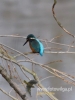 Filename=302_fotowilga~26.JPG
Filesize=51KB
Dimensions=360x480
Date added=Jan 17, 2017 302_fotowilga~26.JPG