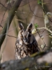 Filename=302_fotowilga~40.JPG
Filesize=251KB
Dimensions=525x700
Date added=Apr 18, 2018 302_fotowilga~40.JPG