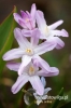 Filename=303_fotowilga~0.JPG
Filesize=82KB
Dimensions=360x540
Date added=Jan 18, 2013 303_fotowilga~0.JPG