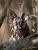 Filename=303_fotowilga~40.JPG
Filesize=292KB
Dimensions=525x700
Date added=Jun 28, 2019 303_fotowilga~40.JPG
