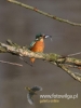 Filename=304_fotowilga~31.JPG
Filesize=52KB
Dimensions=360x480
Date added=Jul 06, 2017 304_fotowilga~31.JPG