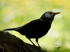 Filename=304_fotowilga~36.JPG
Filesize=194KB
Dimensions=700x525
Date added=Mar 03, 2019 304_fotowilga~36.JPG